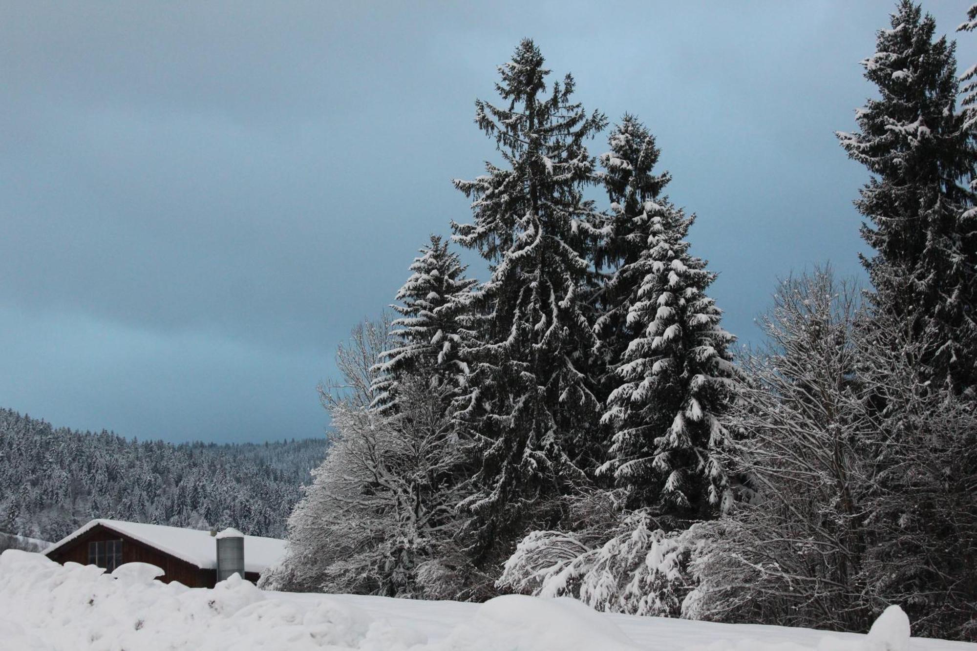 Naturparadies Silvia Alberschwende Buitenkant foto