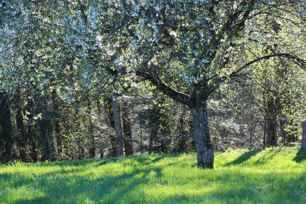 Naturparadies Silvia Alberschwende Buitenkant foto